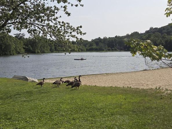 22 Lake Shore Drive N, Mahopac NY 10541