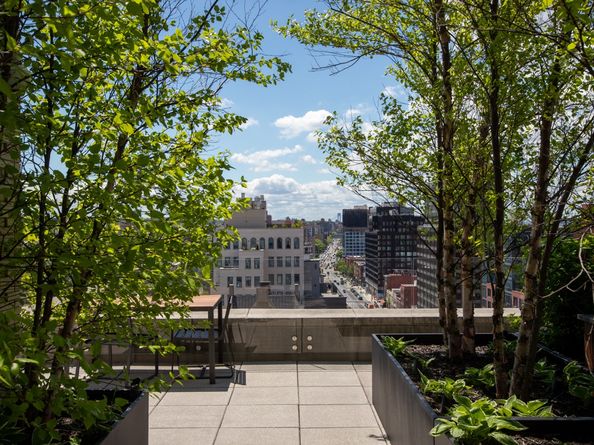 613 Baltic Street 5B, Brooklyn NY 11217