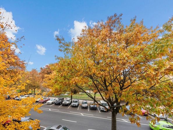 1919 Madison Avenue 317, New York NY 10035