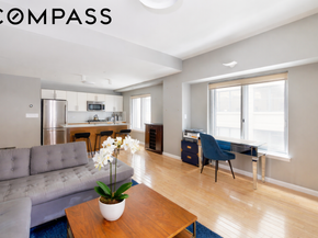133 Water Street 4E, Brooklyn NY 11201