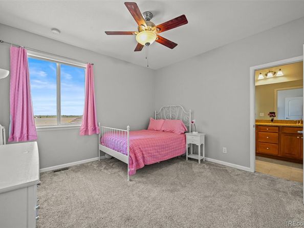 11343 E 163rd Court, Brighton CO 80602