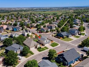 11446 Jersey Drive, Denver CO 80233