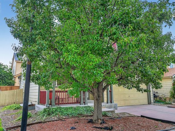 1131 S Chester Court, Denver CO 80247