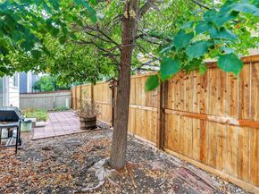1131 S Chester Court, Denver CO 80247