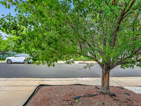 1131 S Chester Court, Denver CO 80247