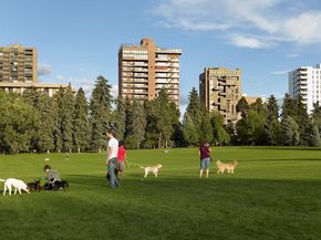 1050 N Corona Street 215, Denver CO 80218