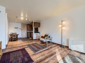 1050 N Corona Street 215, Denver CO 80218
