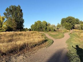 1304 Snowberry Lane 103, Louisville CO 80027