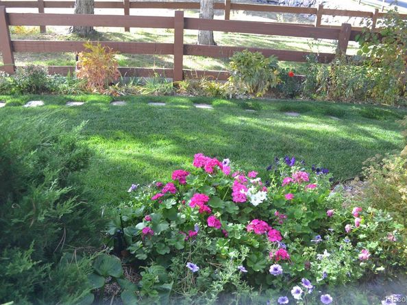 16929 W 63rd Lane, Golden CO 80403