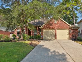 19 Camborn Place, The Woodlands TX 77384