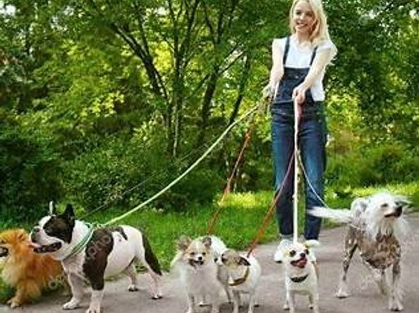 2007 Lamonte Lane, Houston TX 77018