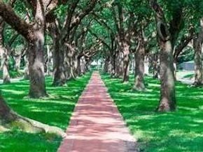 2007 Lamonte Lane, Houston TX 77018