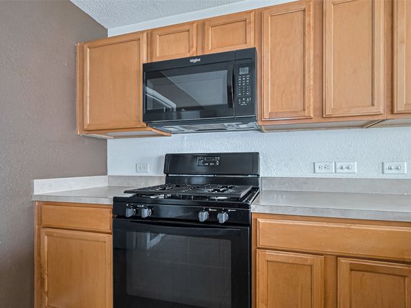 19229 Gunther Springs Court, Houston TX 77073