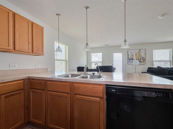 19229 Gunther Springs Court, Houston TX 77073
