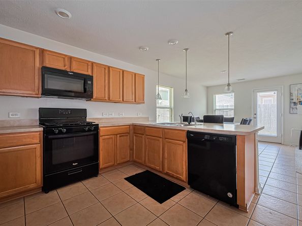 19229 Gunther Springs Court, Houston TX 77073