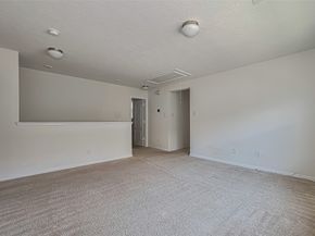 19229 Gunther Springs Court, Houston TX 77073