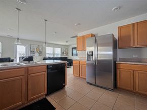 19229 Gunther Springs Court, Houston TX 77073