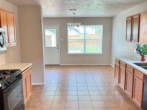 11023 Clear Villa Lane, Houston TX 77034