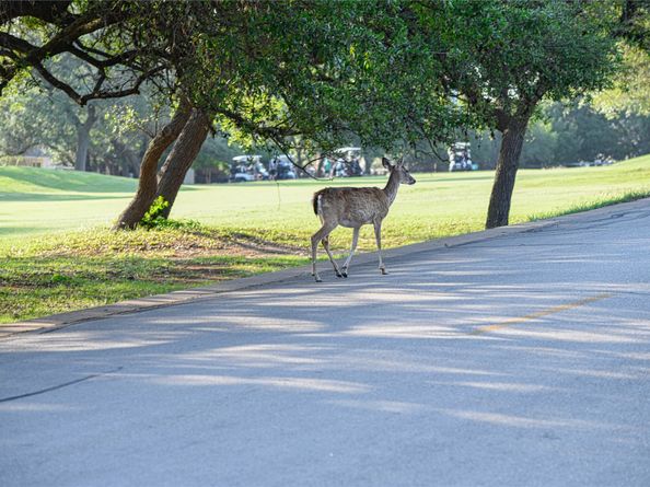 565 Demarett Drive, Point Venture TX 78645