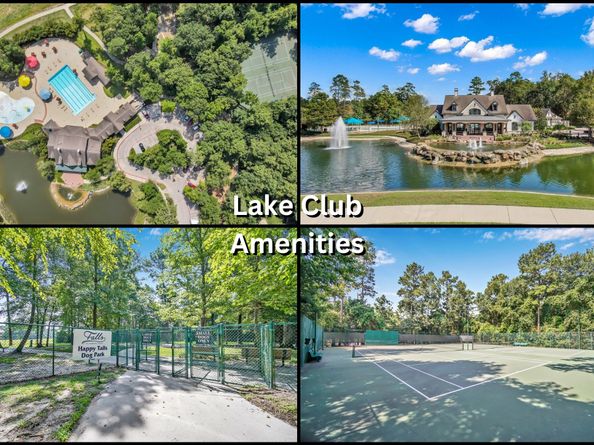 3825 Hawthorn Shadow Court, Spring TX 77386