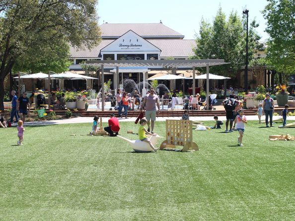 3825 Hawthorn Shadow Court, Spring TX 77386