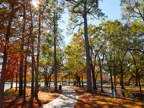 8317 Springwood Canyon Lane, Houston TX 77055