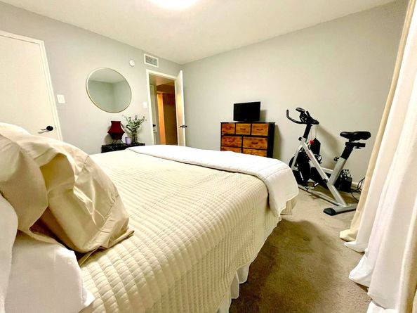 2507 Montrose Boulevard 11, Houston TX 77006