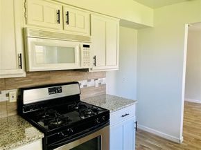 17002 Dew Drop Lane, Houston TX 77095