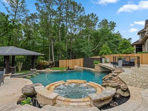 63 W Horizon Ridge Place, The Woodlands TX 77381