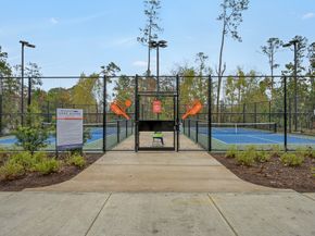 550 Chestnut Reef Court, Conroe TX 77304