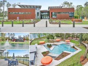 550 Chestnut Reef Court, Conroe TX 77304