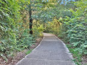 34 E Copper Sage Circle, The Woodlands TX 77381