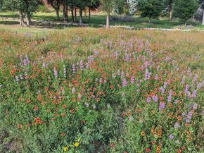 9720 Anchusa TRL, Austin TX 78736