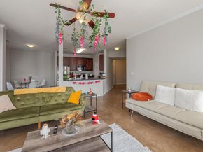 910 W 25th ST 406, Austin TX 78705