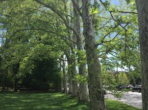 33 Hillside Road, Greenwich CT 06830