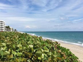 3200 S Ocean Boulevard D101, Palm Beach FL 33480