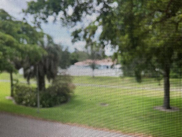 4116 NW 88th Ave 202, Coral Springs FL 33065