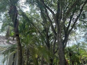 11339 164th Court N, Jupiter FL 33478