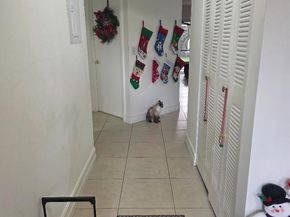 5583 Courtyard Dr 5583, Margate FL 33063