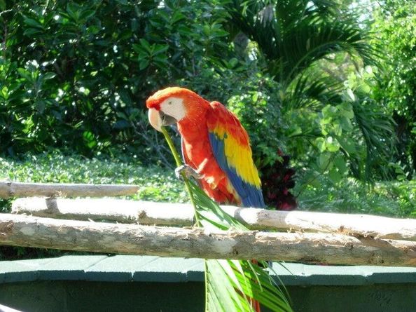 3400 N Ocean Drive 1706, Singer Island FL 33404