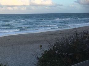 1605 S Us Highway 1 F204, Jupiter FL 33477