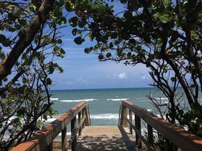 1605 S Us Highway 1 F204, Jupiter FL 33477