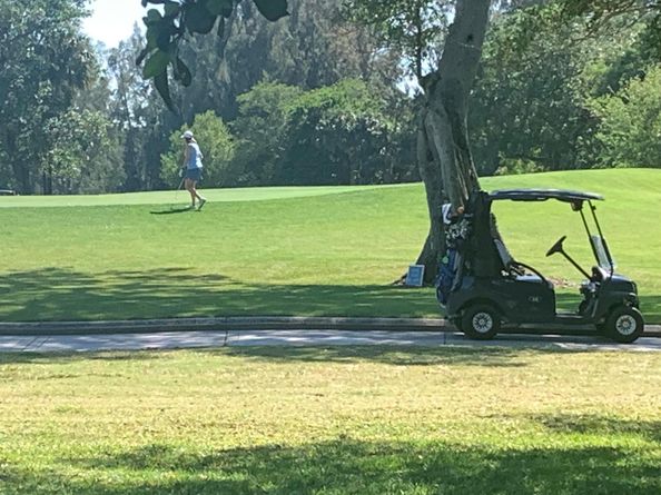 3342 Deer Creek Alba Way, Deerfield Beach FL 33442