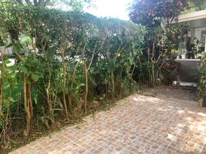 3342 Deer Creek Alba Way, Deerfield Beach FL 33442