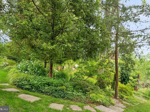 320 1/2 Mansion Drive, Alexandria VA 22302