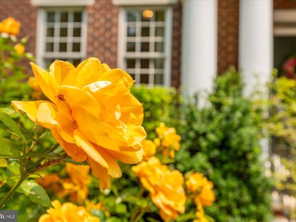 6804 Benjamin Street, Mclean VA 22101