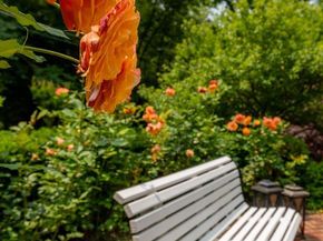 6804 Benjamin Street, Mclean VA 22101