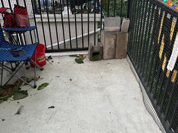 1717 N Gratz Street, Philadelphia PA 19121