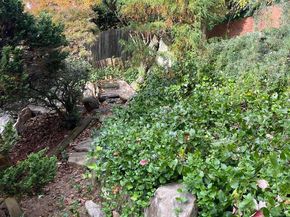 5321 Macarthur Boulevard NW, Washington DC 20016