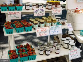 5321 Macarthur Boulevard NW, Washington DC 20016